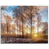Leinwandgemälde Bäume Winter aufgehende Sonne 100x80 cm