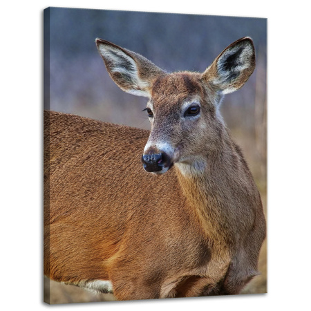 Leinwandgemälde Tiere Hirsch 30x40 cm