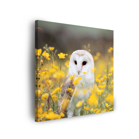 Leinwandgemälde Weiße Eule Blumen Natur Wiese 90x90