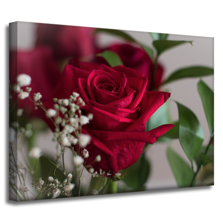 Leinwandgemälde Botanik Rote Rosen 40x30 cm