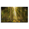 Leinwanddruck Wald Bäume Sonne Natur Frühling 120x80 cm