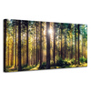 Leinwanddruck Wald Sonne Bäume Frühlingsmorgen 120x60 cm