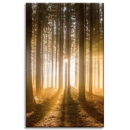 Leinwandgemälde Sonne im Wald Baumlicht 50x80 cm