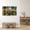 Leinwanddruck Wald Sonne Bäume Frühlingsmorgen 100x80 cm
