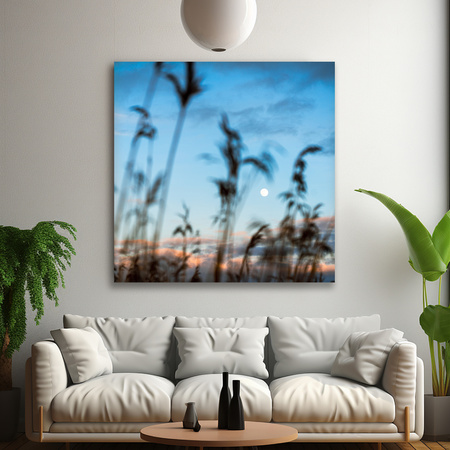 Bild auf Leinwand Nature Glade Meadow Sunrise 90x90