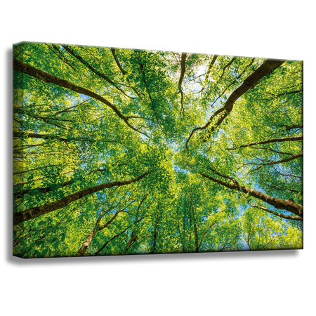 Leinwandgemälde Bäume Blätter Natur Wald Frühling 60x40 cm