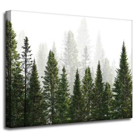 Leinwandgemälde Regenwald Natur Bäume 50x40 cm