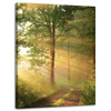 Leinwandgemälde Sonnenlicht Waldweg Natur 30x40 cm