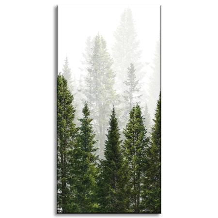 Leinwandgemälde Regenwald Natur Bäume 60x120 cm
