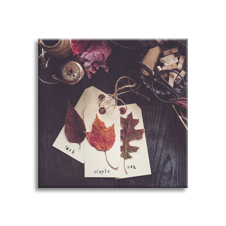 Leinwandgemälde Ahorn-Eichenblätter Retro Vintage 90x90