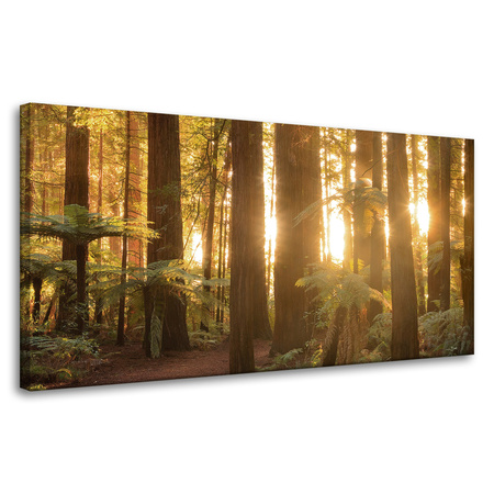 Leinwandgemälde Sonnenstrahlen Waldbäume 80x40 cm