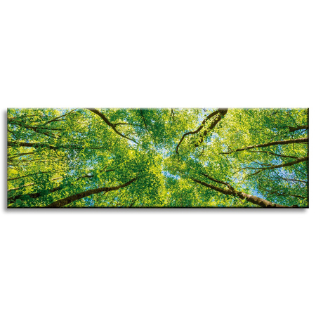 Leinwandgemälde Bäume Blätter Natur Wald Frühling 120x40 cm