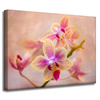 Leinwandgemälde Botanik Orchidee 40x30 cm