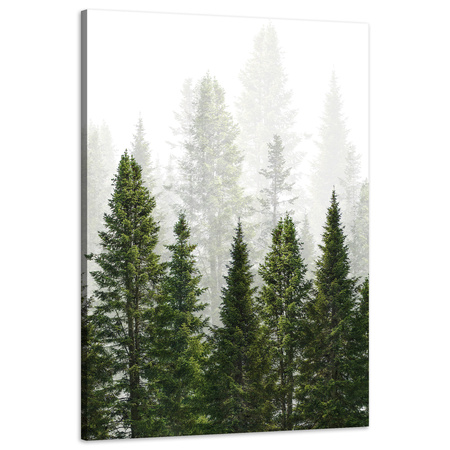 Leinwandgemälde Regenwald Natur Bäume 60x90 cm
