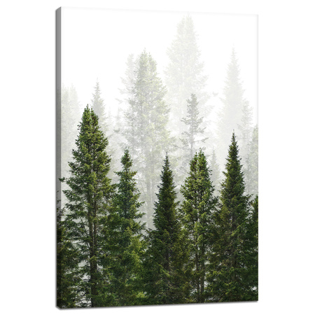 Leinwandgemälde Regenwald Natur Bäume 40x60 cm
