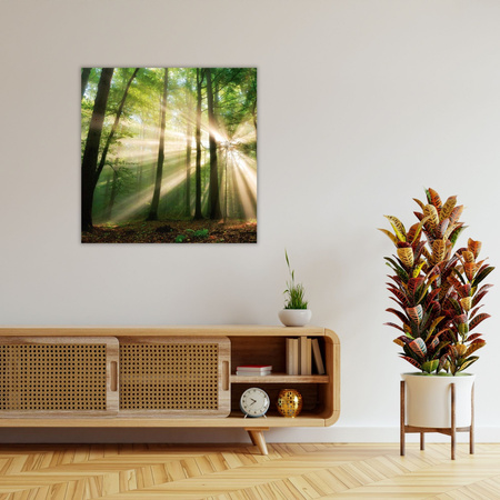 Leinwandgemälde Sonne im Wald Bäume Natur 60X60 cm