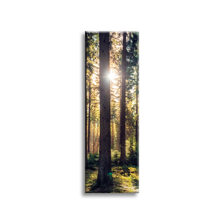 Leinwanddruck Wald Sonne Bäume Frühlingsmorgen 40x120 cm