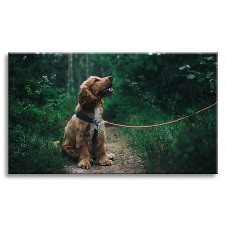 Fotobild - Ihr Foto auf Leinwand 60x40 cm