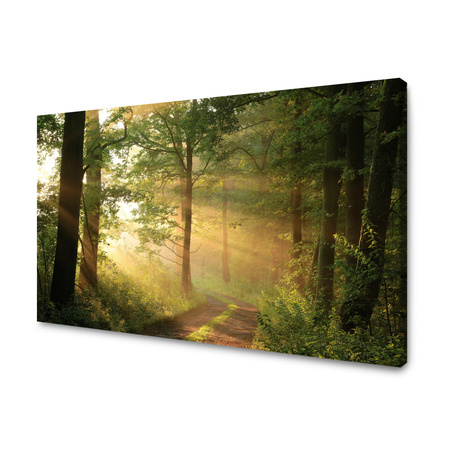 Leinwandgemälde Sonnenlicht Waldweg Natur 70x50 cm