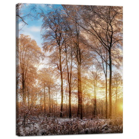 Leinwandgemälde Bäume Winter aufgehende Sonne 40x50 cm