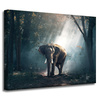 Leinwanddruck Tiere Elefant 40x30 cm