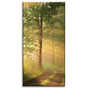 Leinwandgemälde Sonnenlicht Waldweg Natur 60x120 cm