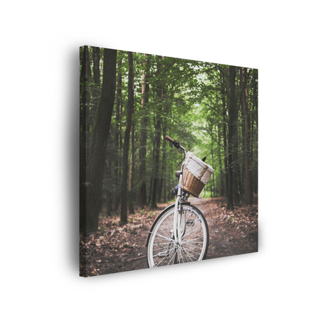 Leinwanddruck Jugendfahrrad im Wald 90x90