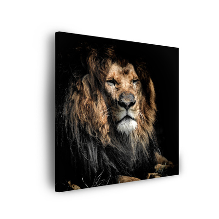 Leinwandgemälde Erwachsener Löwe 90x90