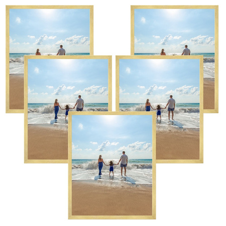 5x Goldrahmen 50x70, I L13,15,045, Plexiglas
