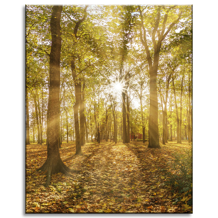 Leinwandgemälde Sonne zwischen Bäumen im Wald 40x50 cm