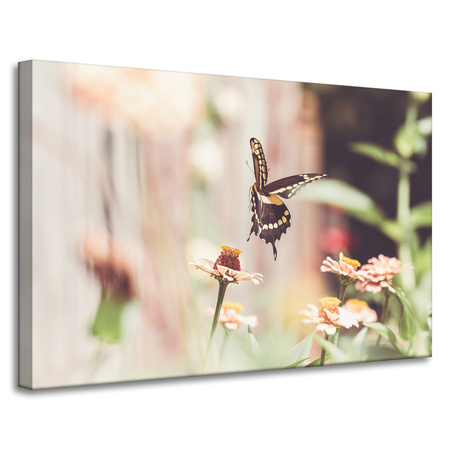 Leinwandgemälde Natur Insekt Schmetterling Blumen Frühling Sommer 90x60