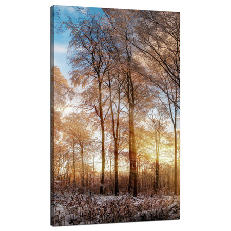 Leinwandgemälde Bäume Winter aufgehende Sonne 70x120 cm