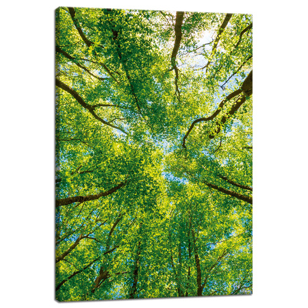 Leinwandgemälde Bäume Blätter Natur Wald Frühling 40x60 cm