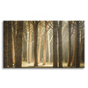 Leinwandgemälde Bäume Licht Natur Wald 120x80 cm