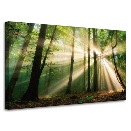 Leinwandgemälde Sonne im Wald Bäume Natur 100x60 cm