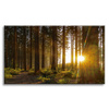 Leinwandgemälde Sonnenuntergang Wald Bäume Natur 120x80 cm
