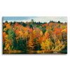Leinwandgemälde Bunte Baumblätter Herbst Natur 120x80 cm