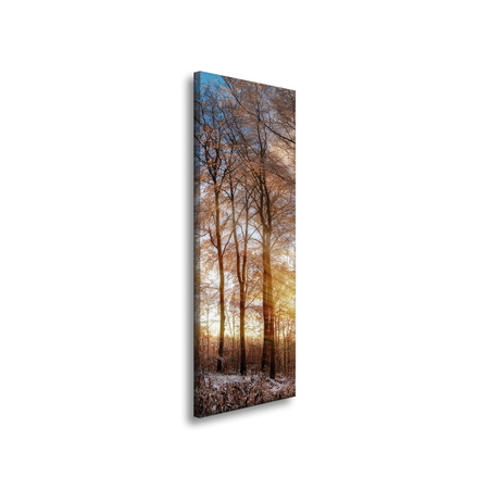Leinwandgemälde Bäume Winter aufgehende Sonne 40x120 cm