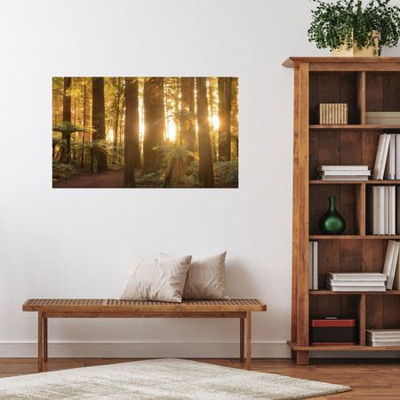Leinwandgemälde Sonnenstrahlen Waldbäume 120x70 cm