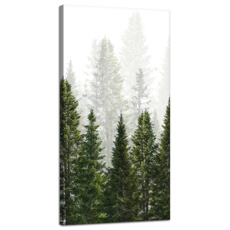 Leinwandgemälde Regenwald Natur Bäume 40x80 cm