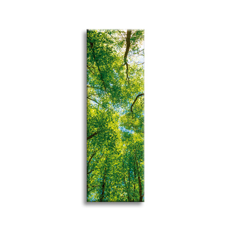 Leinwandgemälde Bäume Blätter Natur Wald Frühling 40x120 cm