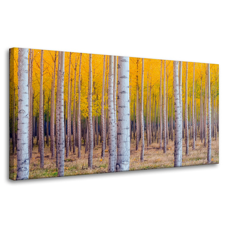 Leinwandgemälde Birken in herbstlichen gelben Blättern 80x40 cm
