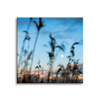 Bild auf Leinwand Nature Glade Meadow Sunrise 90x90
