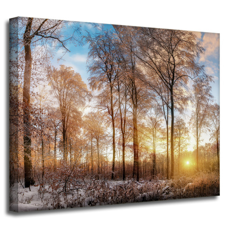 Leinwandgemälde Bäume Winter aufgehende Sonne 50x40 cm