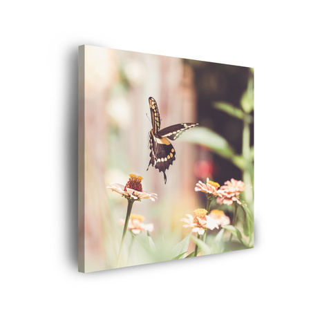 Leinwandgemälde Natur Insekt Schmetterling Blumen Frühling Sommer 90x90