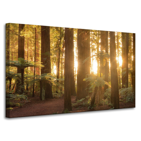Leinwandgemälde Sonnenstrahlen Waldbäume 100x60 cm