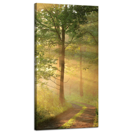 Leinwandgemälde Sonnenlicht Waldweg Natur 40x80 cm