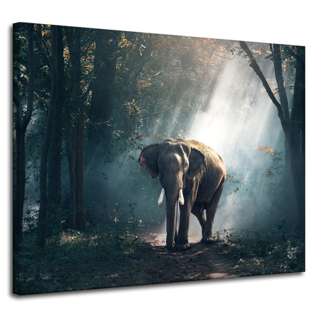 Leinwanddruck Tiere Elefant 100x80 cm