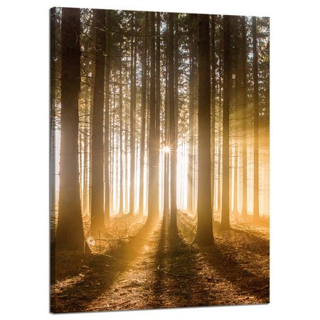 Leinwandgemälde Sonne im Wald Baumlicht 50x70 cm