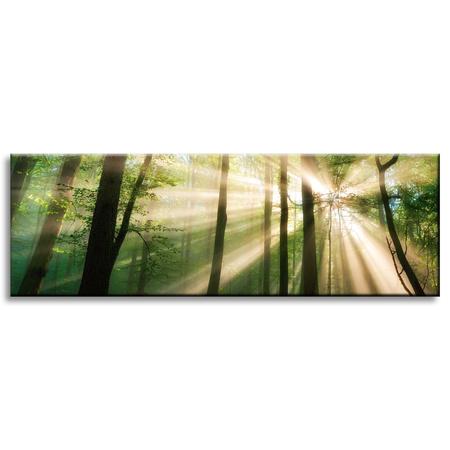 Leinwandgemälde Sonne im Wald Bäume Natur 120x40 cm